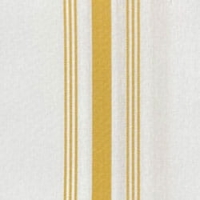 White with Gold Stripes